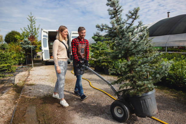 Best Tree Root Removal  in Maltby, WA